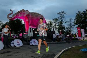 BIB: 
                            <button type="button" onclick="openModal(26529610)" class="btn btn-primary btn-sm float-right btn-popup" data-toggle="modal" data-target=".modal-high-quality">
                        <i class="fas fa-shopping-cart"></i> Add to Cart
                    </button>
                                            <button type="button" onclick="isThisMe(26529610, true)" class="btn btn-success btn-sm float-right btn-popup btn-isme hidden" data-toggle="tooltip" data-placement="bottom" title="นี่คือรูปของคุณใช่ไหม คลิกที่นี่เพื่อเอาเข้าอัลบั้ม">
                        <i class="fas fa-plus"></i> Add to album
                    </button>
                    <button type="button" onclick="isThisMe(26529610, false)" class="btn btn-warning btn-sm float-right btn-popup btn-isnotme hidden">
                        <i class="fas fa-ban"></i> Remove from album
                    </button>